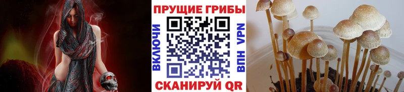 Галлюциногенные грибы ЛСД  закладка  Печоры 